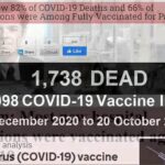 What MSM Will NOT Report Its A Pandemic Of The Vaccinated feature global world news utube media