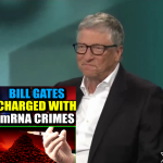 Judge-Orders-Bill-Gates-To-Stand-Trial-for-Murdering-Millions-via-mRNA-Jabs stand together stand strong